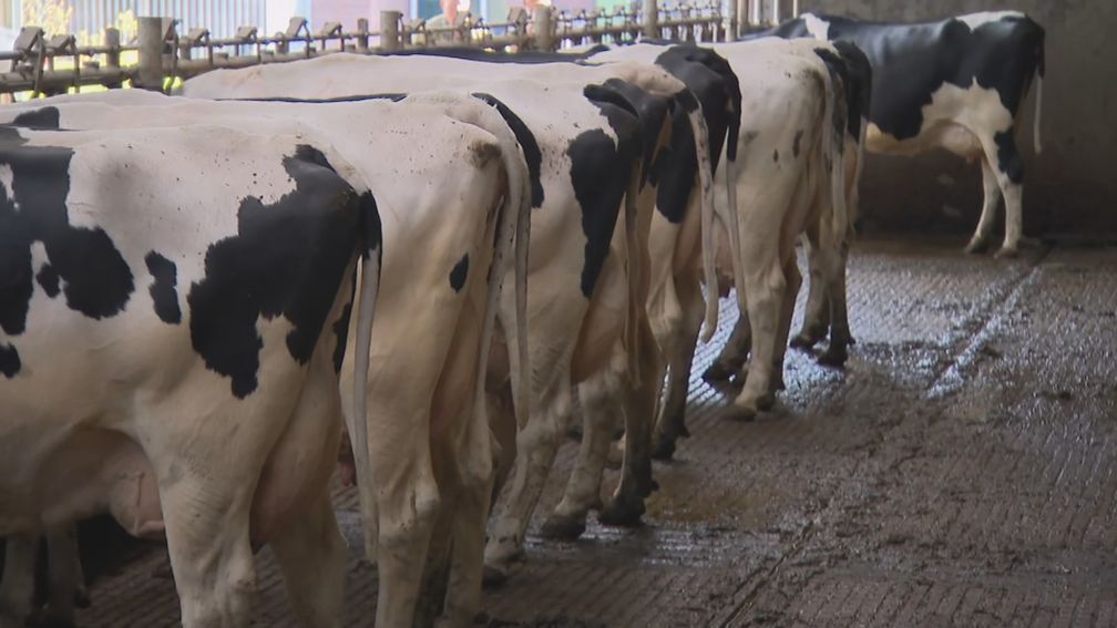 Landbouworganisatie LTO ontevreden over mestplannen BBB-minister Wiersma