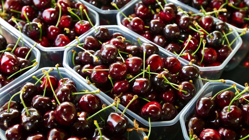 Kersentelers mogen omstreden bestrijdingsmiddel ook dit seizoen weer gebruiken