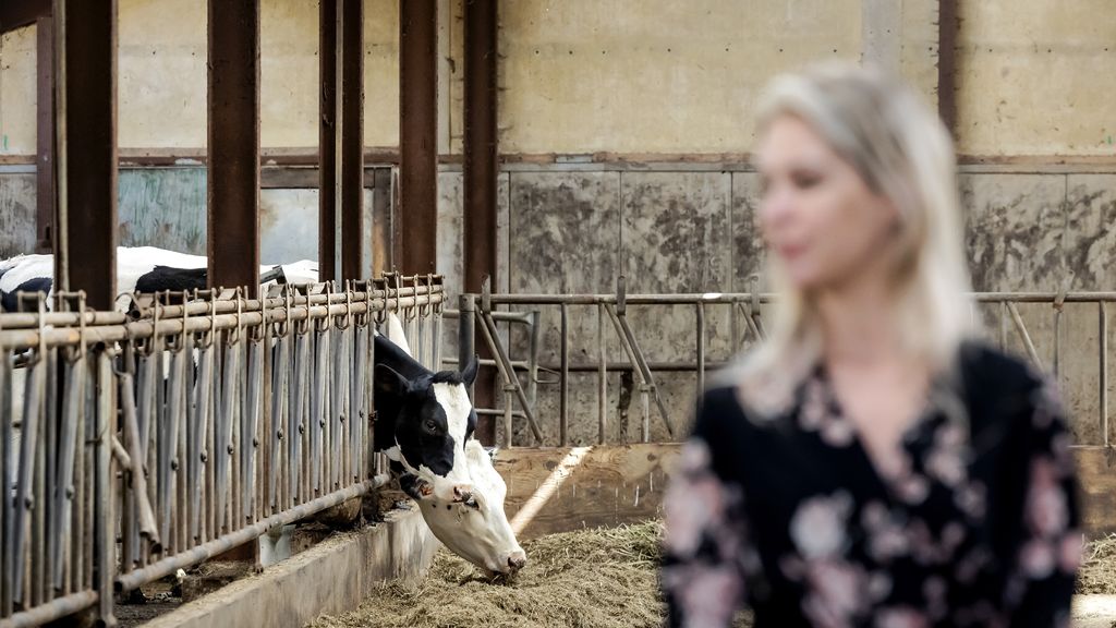 Kamer debatteert over mestplannen Wiersma (en de ruzie in het kabinet)